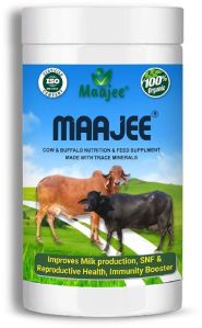 maajee cattle feed nutrition supplement