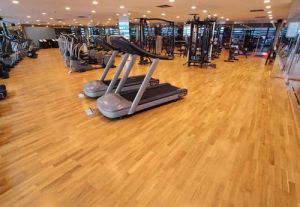 Vinyl Gym Flooring