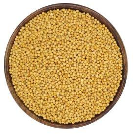 Yellow Mustard Seeds