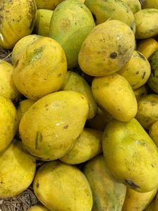 Imam Pasand Mangoes