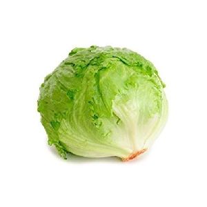 Fresh Iceberg Lettuce