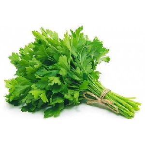 Fresh parsley