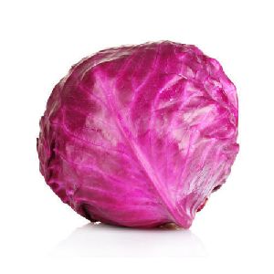 Fresh Red Cabbage