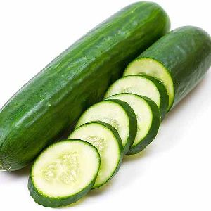 Fresh Sweet Cucumber