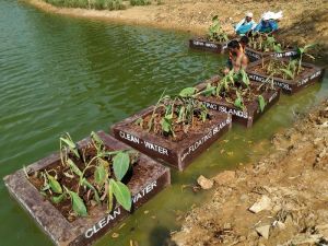 natural floating wetlands