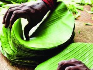 Round shape banana leaf