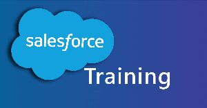 Salesforce Training Course