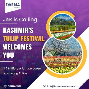 Kashmir Tulip Tour Package