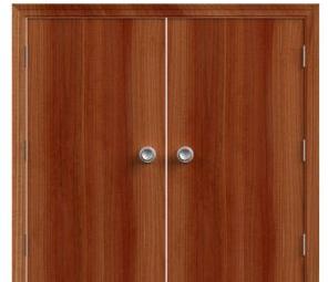 Double Flush Door