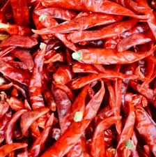 Teja Red Chilli