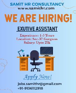 Executive Assistant