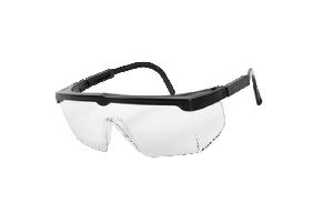 Zoom Safety Goggles