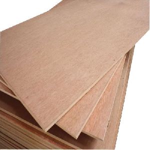 Poplar Plywood