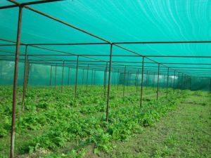 Agro Shade Net