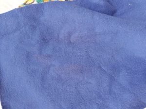 Polar Fleece Fabric