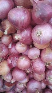 Fresh red onion .