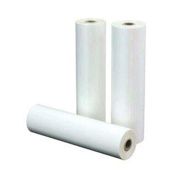 Polyester Film