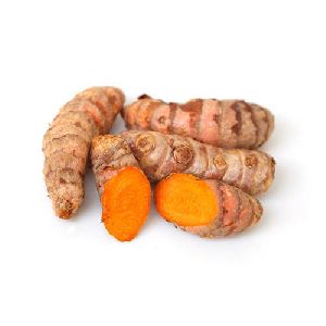 fresh turmeric root