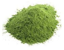 Stevia Powder