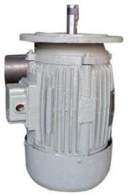 Flange Mount Electric Motor