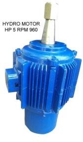 Hydraulic Motor