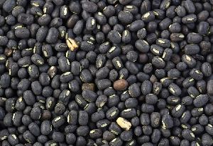 Black Urad Dal