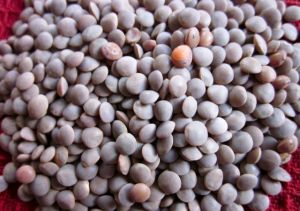 brown masoor dal