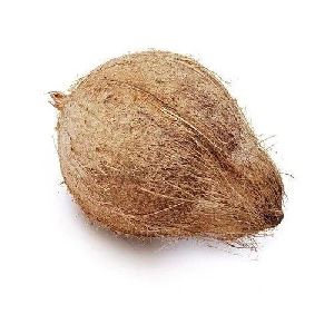 Semi Husked Coconut