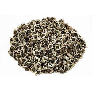 Moringa Seeds