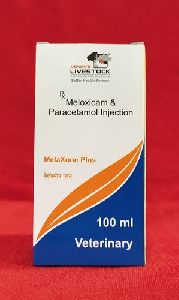 Meloxicam and Paracetamol Injection