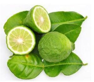 Bergamot Oil