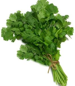 Coriander Leaves