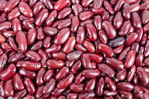 DARK KIDNEY BEANS (RAJMA)