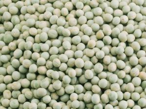 Green whole peas