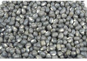 Urad Whole