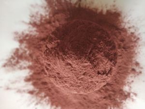 Dehydrated Red Onion Powder