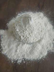 Dehydrated White Onion Powder