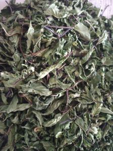 Dried Mint Leaves