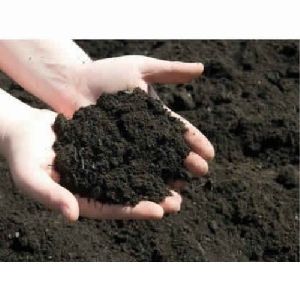 Organic Rich Soil Conditioner