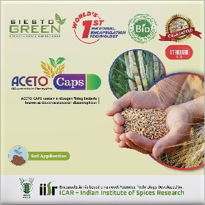 Aceto- Acetobacter-Bio Fertilizer