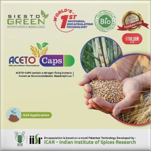 Aceto Acetobacter Bio Fertilizer