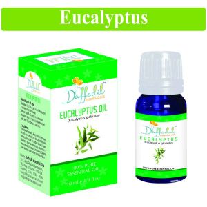 Eucalyptus Essential Oil