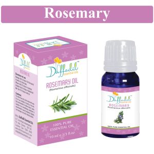 Rosemary Essential Oil