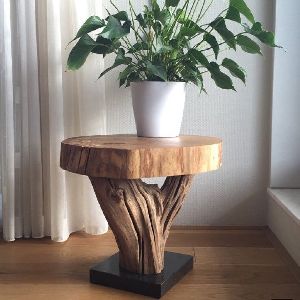 Root Table