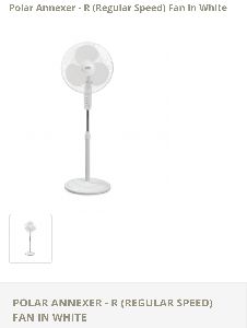 Polar Pedestal Fan