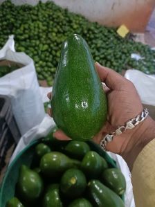 Fresh Avocado