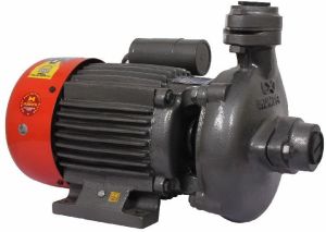 HCF-0.5/1 Monoblock Pump