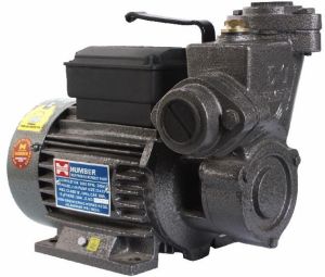 Robust Monoblock Pump