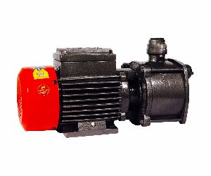 SWJ -0.5 Monoblock Pump