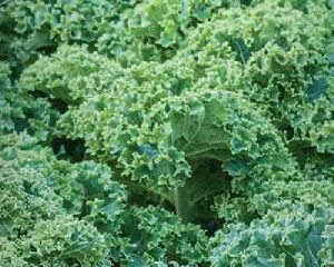 curly kale